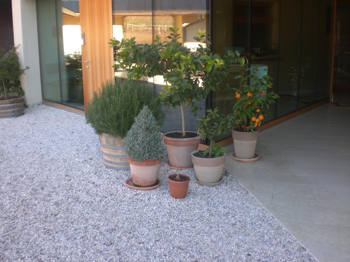 Apartmán Biobauernhof St. Quirinus Caldaro Exteriér fotografie